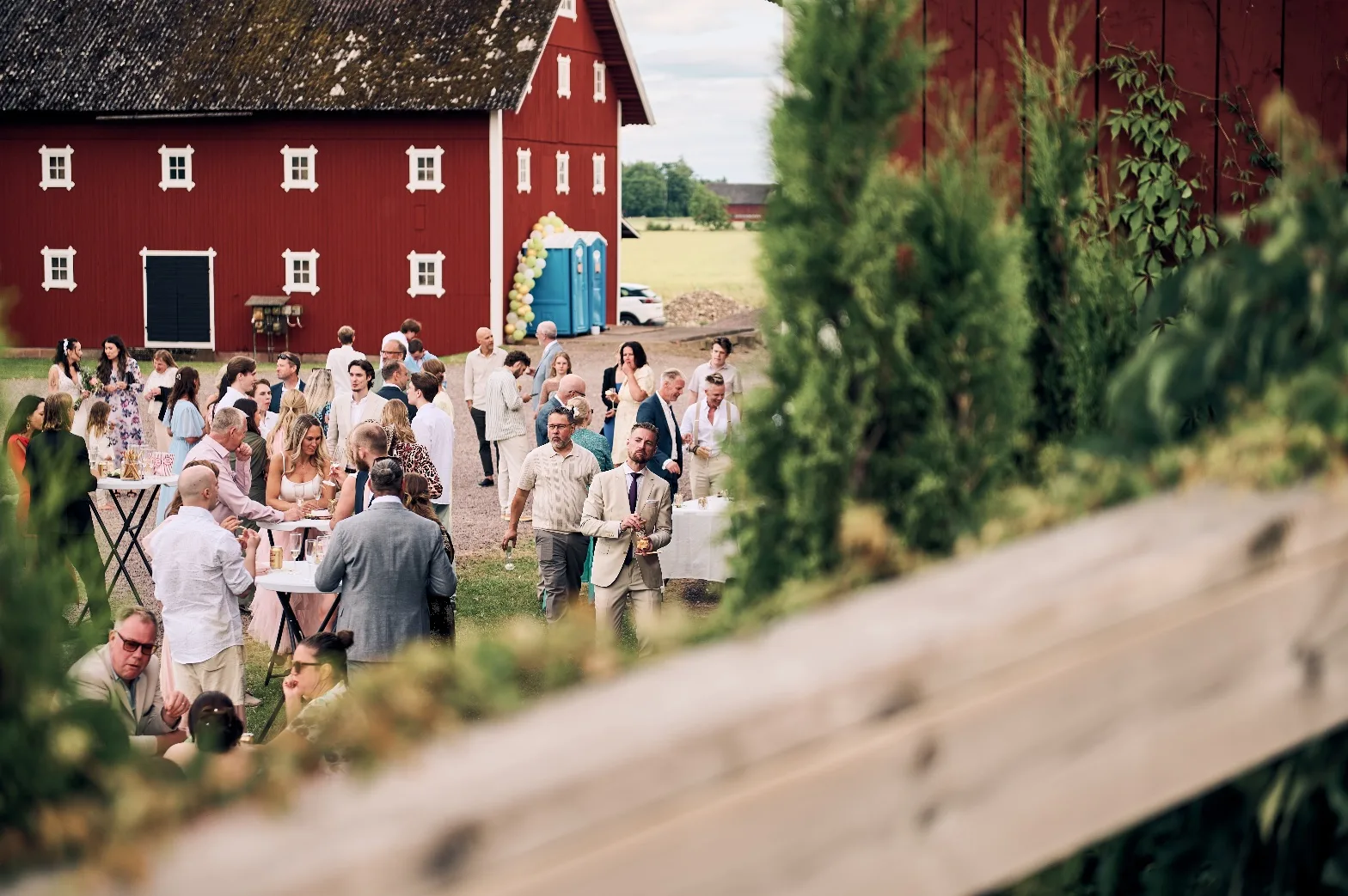 Bröllopsgäster minglar med bubbel vid ståbord ute på gården framför de röda logarna, sett genom grönska i förgrunden.